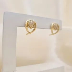 Brinco gota circulo central cravejado zirconia