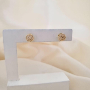 Brinco chuveirinho zirconias